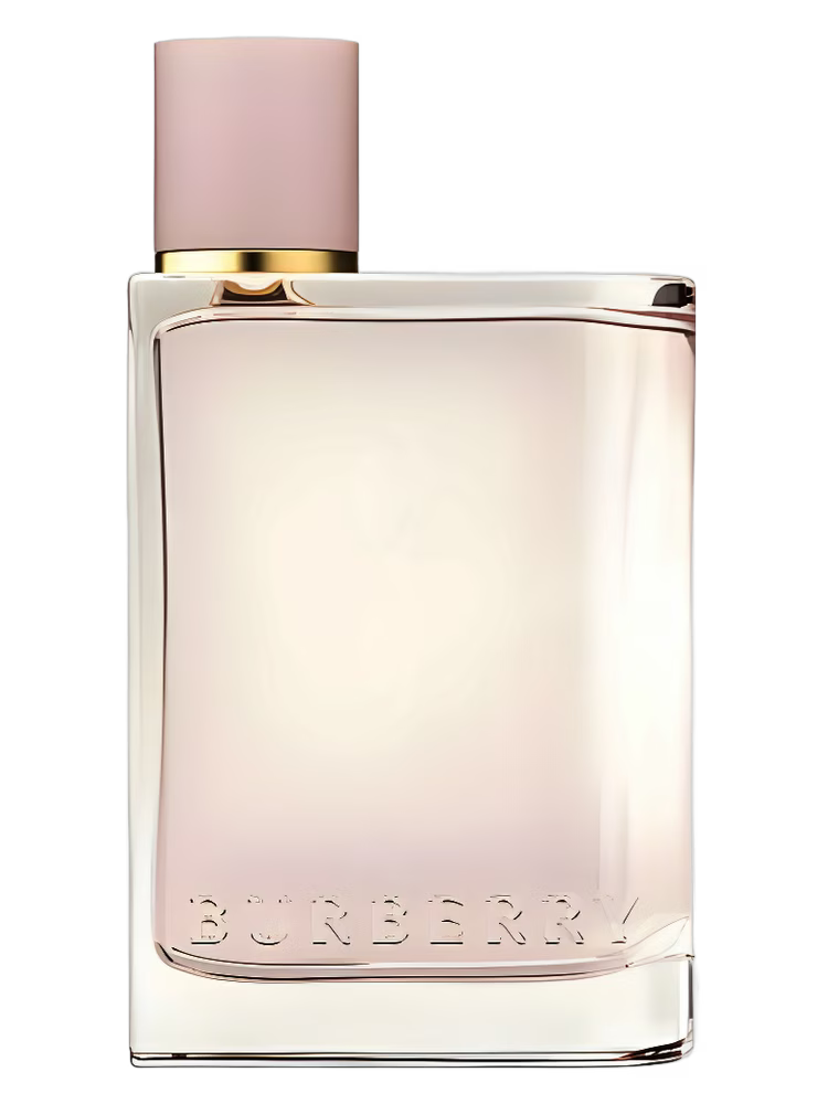 Burberry Her Eau de Parfum 3.3oz *Sealed*