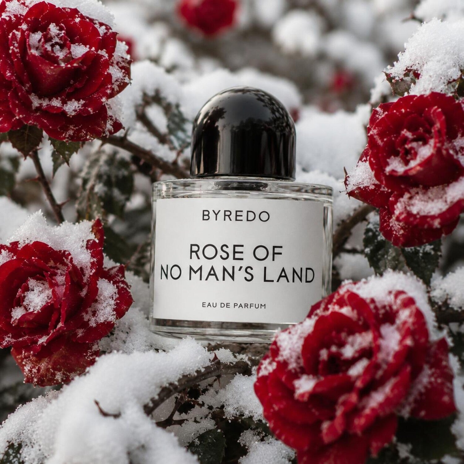 Byredo Rose Of No Man’s Land EDP 3.3oz *SEALED*