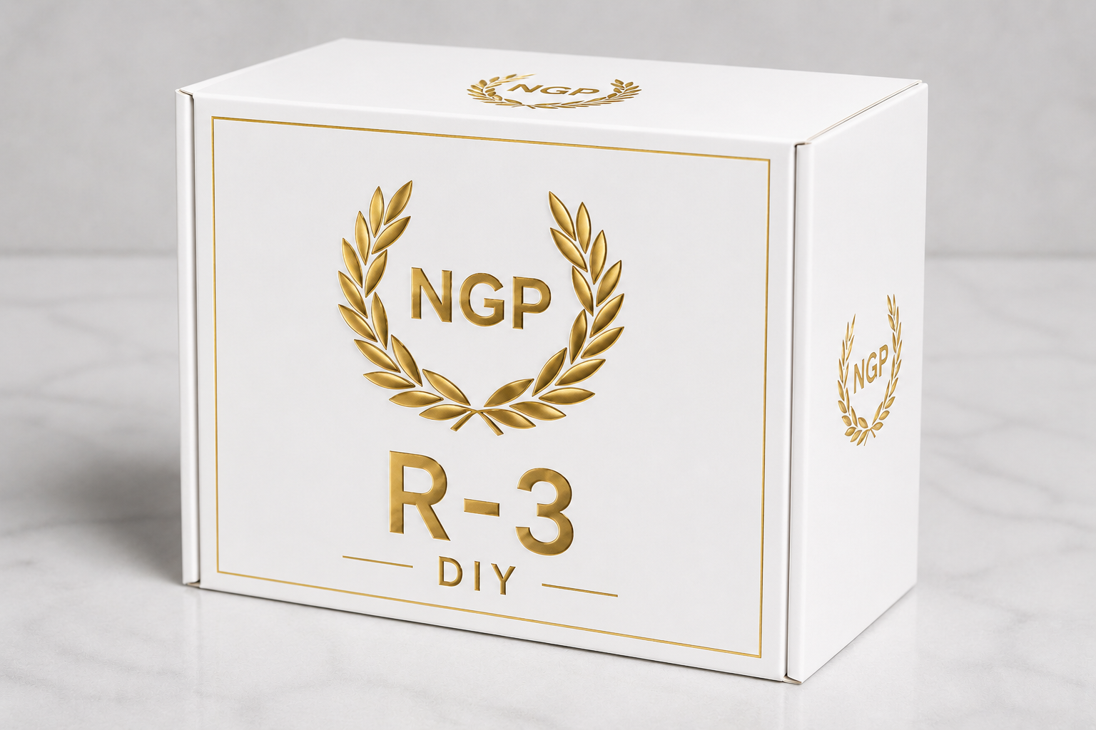 R-3 Kit