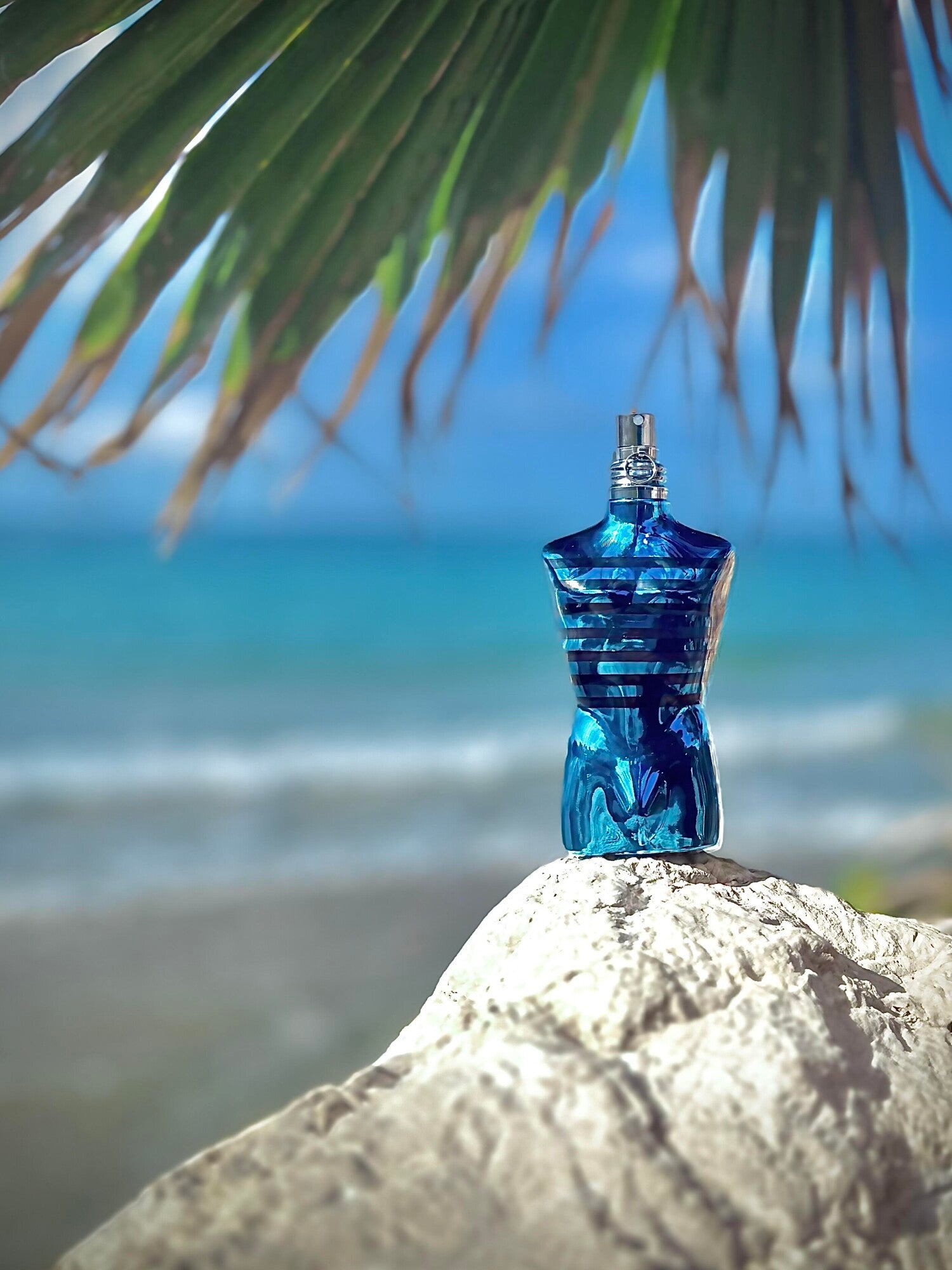 Jean Paul Gaultier's Le Male In Blue 4.2 oz EDP